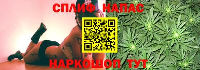 дурь Можга